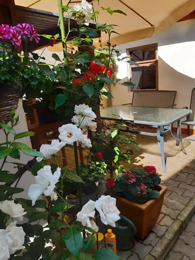 Apartament U Pani Malirky Valtice Zewnętrze zdjęcie