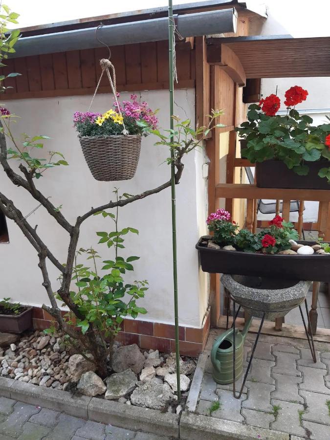 Apartament U Pani Malirky Valtice Zewnętrze zdjęcie